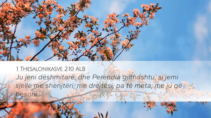 1 Thesalonikasve 2:10 ALB Bible Verse Image