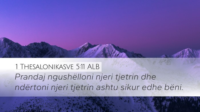 1 Thesalonikasve 5:11 ALB Bible Verse Image