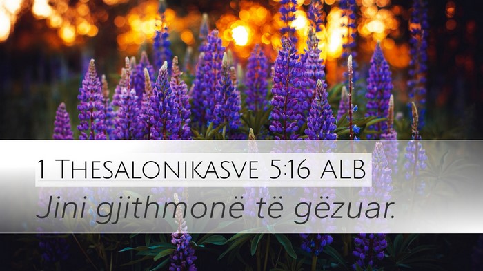 1 Thesalonikasve 5:16 ALB Bible Verse Image