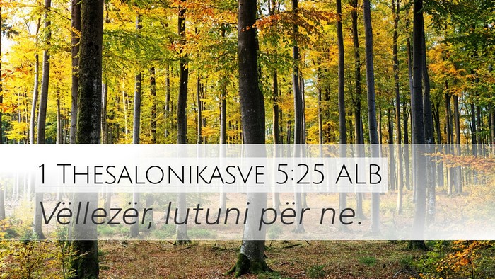 1 Thesalonikasve 5:25 ALB Bible Verse Image