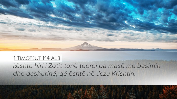 1 Timoteut 1:14 ALB Bible Verse Image