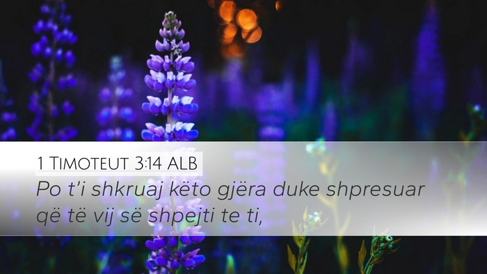 1 Timoteut 3:14 ALB Desktop Wallpaper - Po t’i shkruaj këto gjëra duke shpresuar që - Desktop Bible Verse Wallpaper