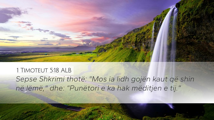 1 Timoteut 5:18 ALB Bible Verse Image