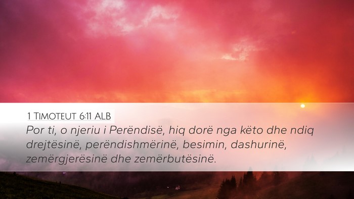 1 Timoteut 6:11 ALB Bible Verse Image