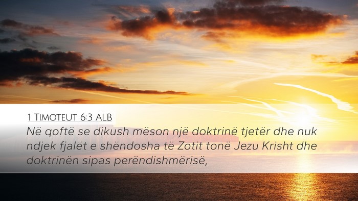 1 Timoteut 6:3 ALB Bible Verse Image