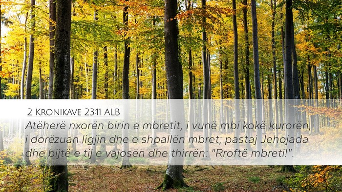 2 Kronikave 23:11 ALB Bible Verse Image