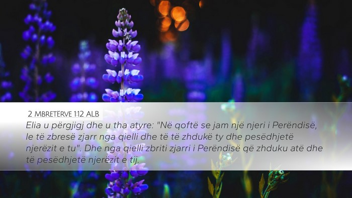 2 Mbretërve 1:12 ALB Bible Verse Image