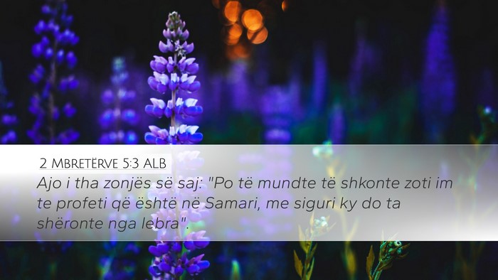 2 Mbretërve 5:3 ALB Bible Verse Image