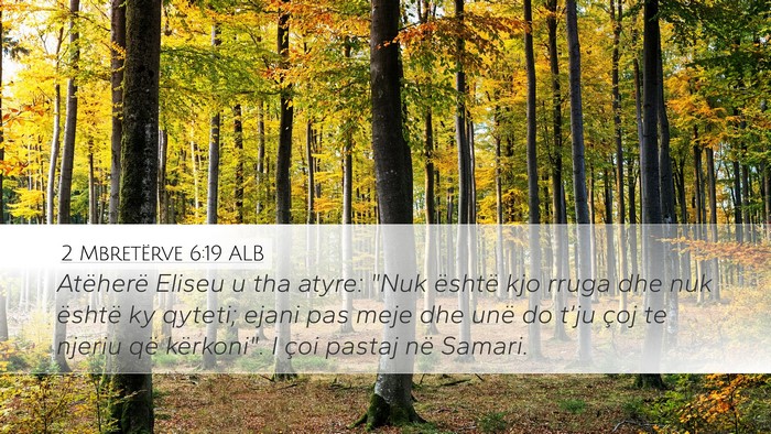 2 Mbretërve 6:19 ALB Bible Verse Image