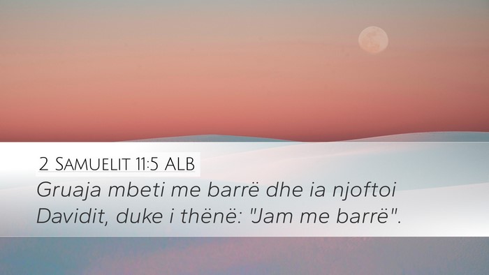 2 Samuelit 11:5 ALB Desktop Wallpaper - Gruaja mbeti me barrë dhe ia njoftoi Davidit, - Desktop Bible Verse Wallpaper