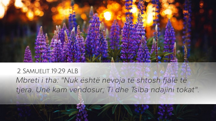 2 Samuelit 19:29 ALB Bible Verse Image