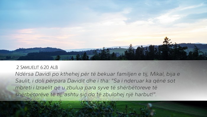 2 Samuelit 6:20 ALB Bible Verse Image