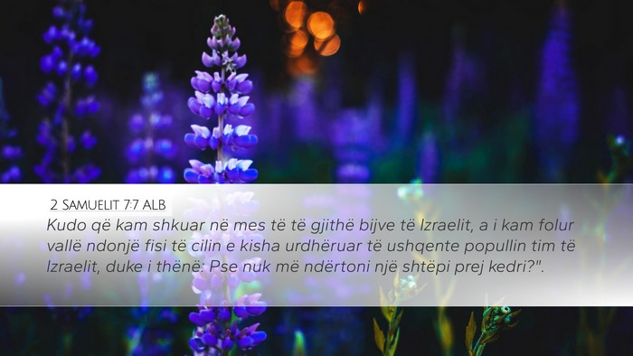 2 Samuelit 7:7 ALB Bible Verse Image