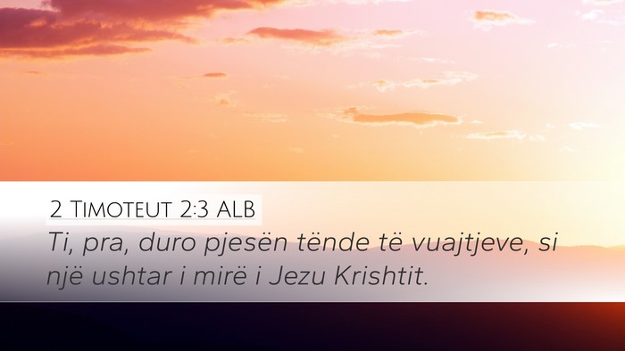 2 Timoteut 2:3 ALB Bible Verse Image