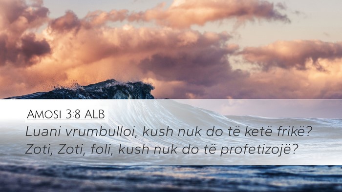 Amosi 3:8 ALB Bible Verse Image
