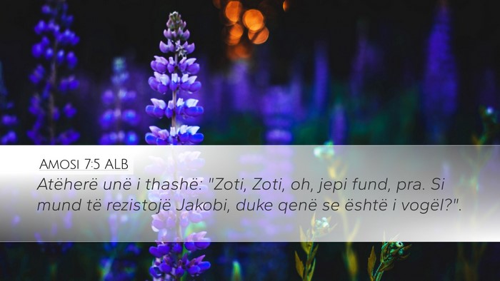 Amosi 7:5 ALB Bible Verse Image