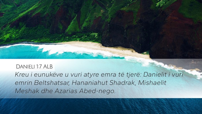 Danieli 1:7 ALB Bible Verse Image