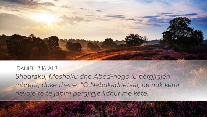 Danieli 3:16 ALB Bible Verse Image