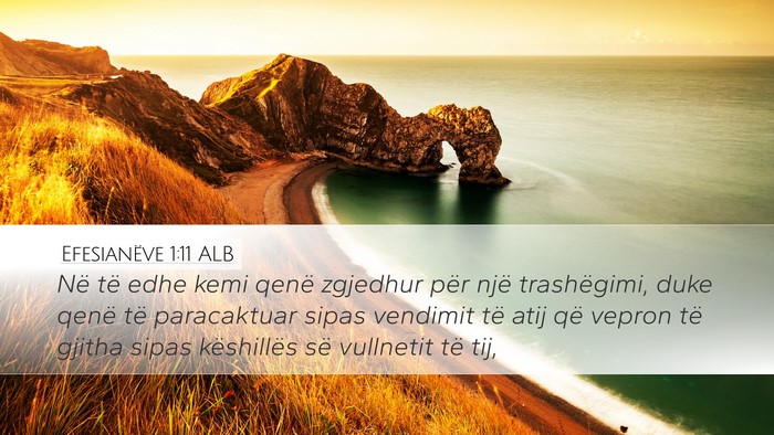 Efesianëve 1:11 ALB Bible Verse Image