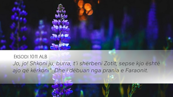 Eksodi 10:11 ALB Bible Verse Image