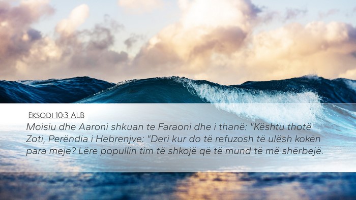 Eksodi 10:3 ALB Bible Verse Image