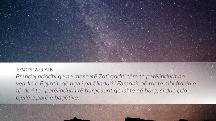 Eksodi 12:29 ALB Bible Verse Image