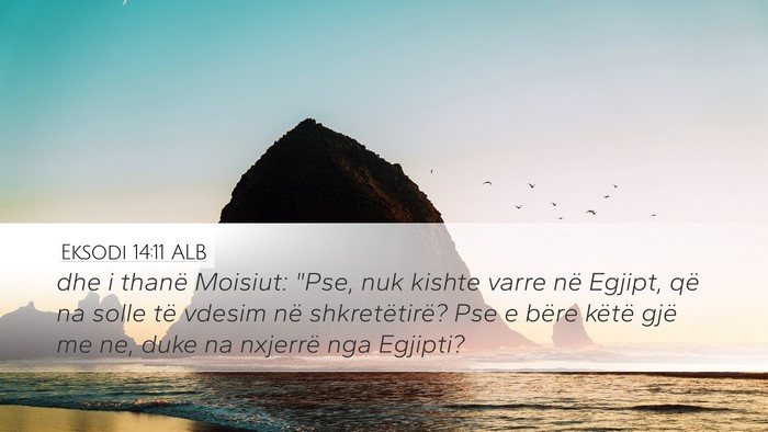 Eksodi 14:11 ALB Bible Verse Image
