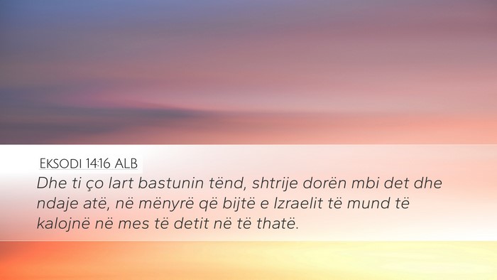 Eksodi 14:16 ALB Bible Verse Image