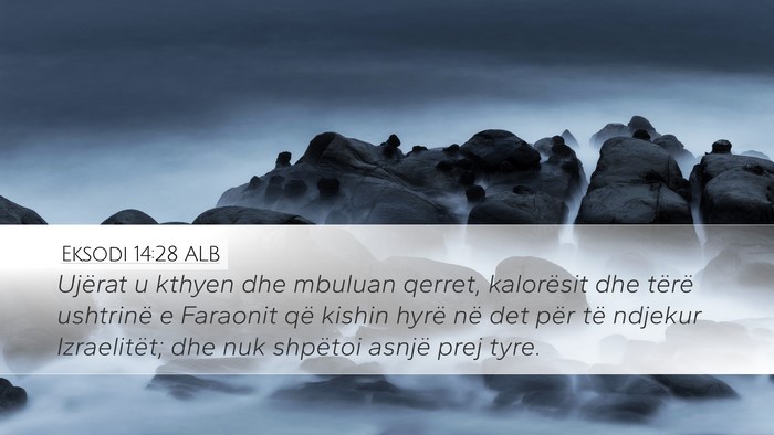 Eksodi 14:28 ALB Bible Verse Image