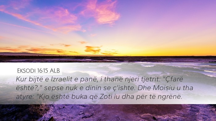 Eksodi 16:15 ALB Bible Verse Image