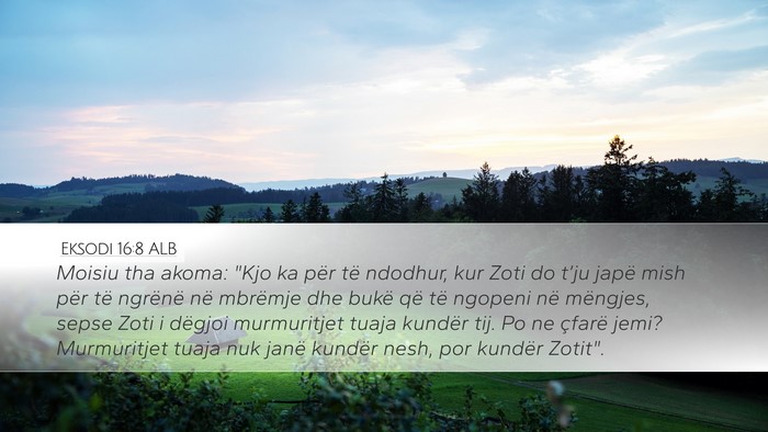 Eksodi 16:8 ALB Bible Verse Image