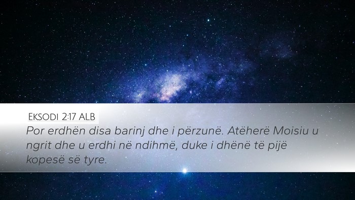Eksodi 2:17 ALB Desktop Wallpaper - Por erdhën disa barinj dhe i përzunë. - Desktop Bible Verse Wallpaper