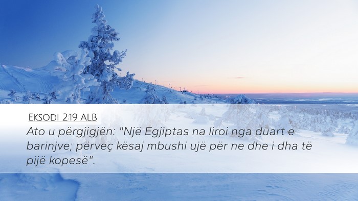 Eksodi 2:19 ALB Desktop Wallpaper - Ato u përgjigjën: 