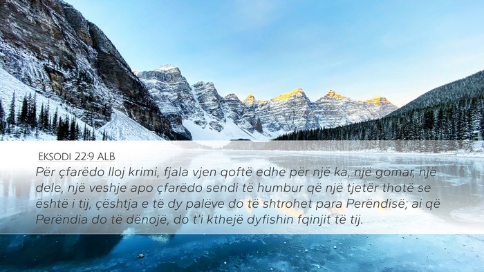 Eksodi 22:9 ALB Bible Verse Image