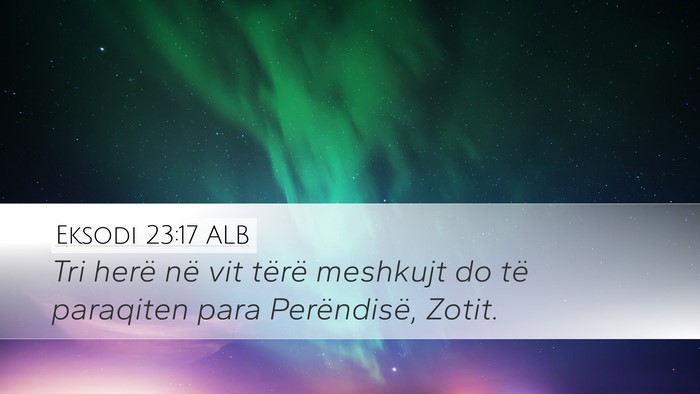 Eksodi 23:17 ALB Bible Verse Image