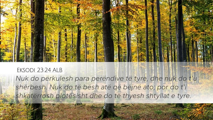 Eksodi 23:24 ALB Bible Verse Image