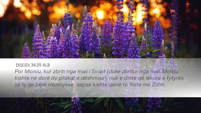 Eksodi 34:29 ALB Bible Verse Image