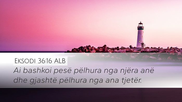 Eksodi 36:16 ALB Desktop Wallpaper - Ai bashkoi pesë pëlhura nga njëra anë dhe - Desktop Bible Verse Wallpaper