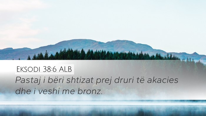 Eksodi 38:6 ALB Desktop Wallpaper - Pastaj i bëri shtizat prej druri të akacies dhe - Desktop Bible Verse Wallpaper