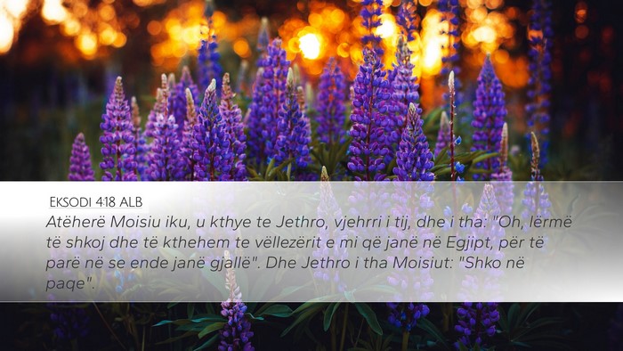 Eksodi 4:18 ALB Bible Verse Image