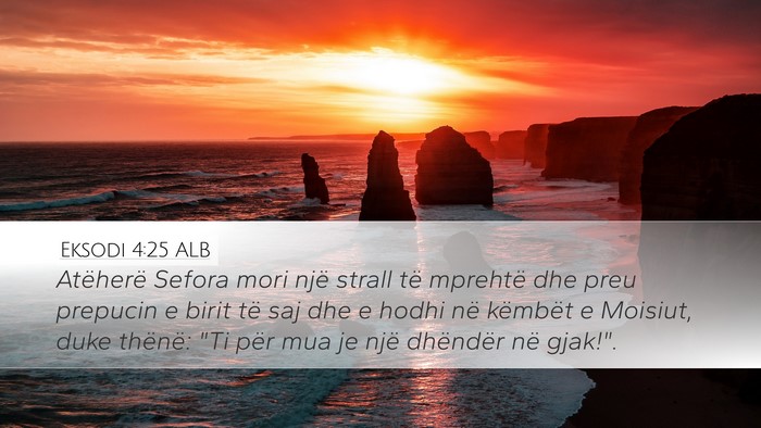 Eksodi 4:25 ALB Bible Verse Image