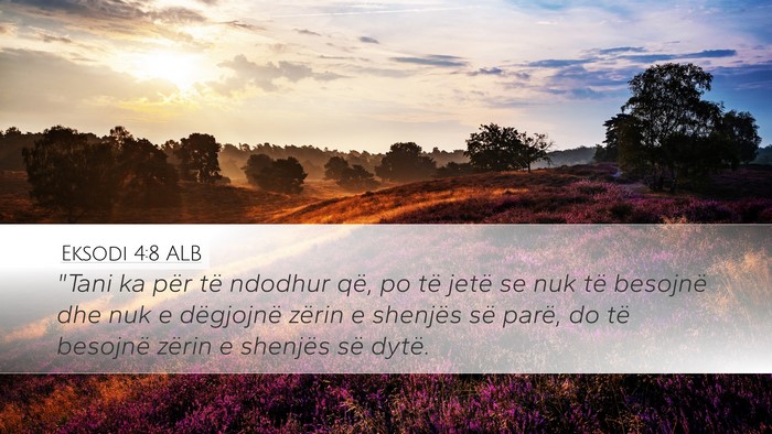 Eksodi 4:8 ALB Bible Verse Image