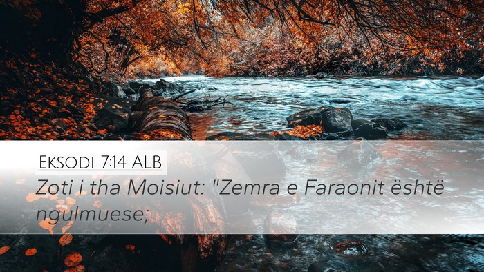 Eksodi 7:14 ALB Bible Verse Image