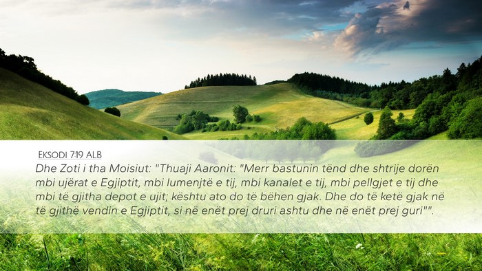 Eksodi 7:19 ALB Bible Verse Image