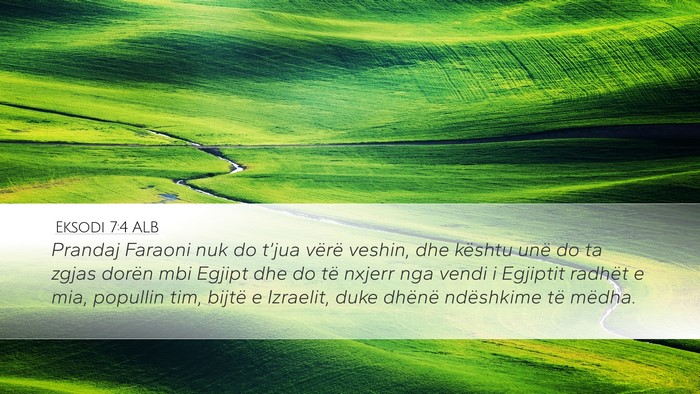 Eksodi 7:4 ALB Bible Verse Image