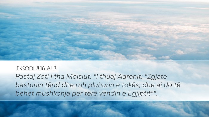 Eksodi 8:16 ALB Bible Verse Image