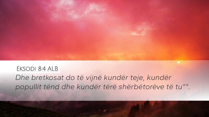Eksodi 8:4 ALB Desktop Wallpaper - Dhe bretkosat do të vijnë kundër teje, kundër - Desktop Bible Verse Wallpaper