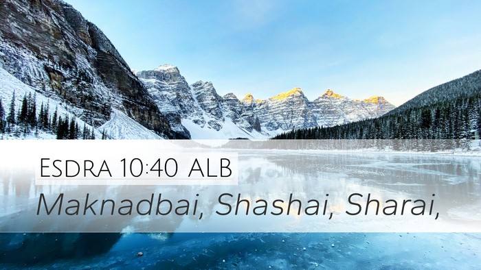 Esdra 10:40 ALB Desktop Wallpaper - Maknadbai, Shashai, - Desktop Bible Verse Wallpaper
