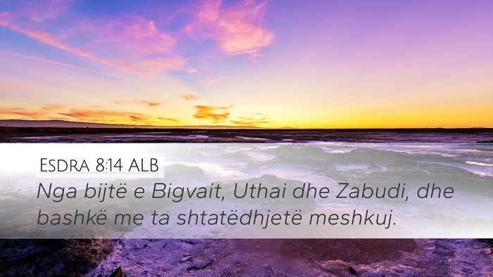 Esdra 8:14 ALB Bible Verse Image