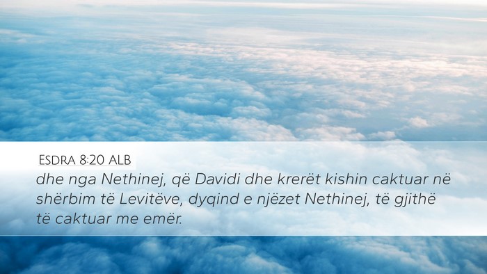 Esdra 8:20 ALB Bible Verse Image